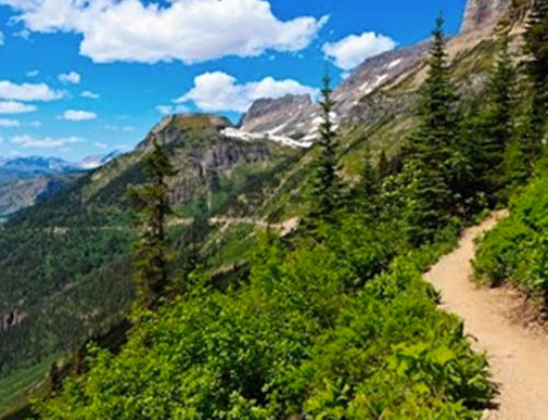 Les milléniales sont l&rsquo;avenir de nos sentiers